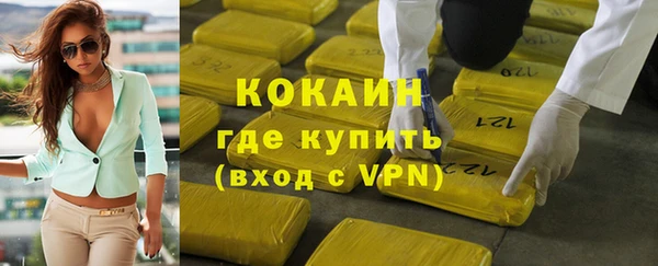 индика Армянск
