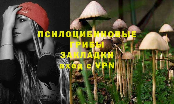 хмурый Арсеньев