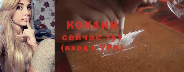 индика Армянск