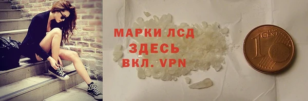 хмурый Арсеньев