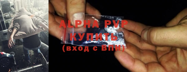 хмурый Арсеньев