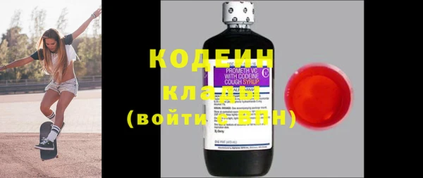 хмурый Арсеньев