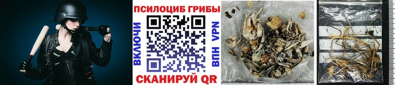 Галлюциногенные грибы Cubensis Томари