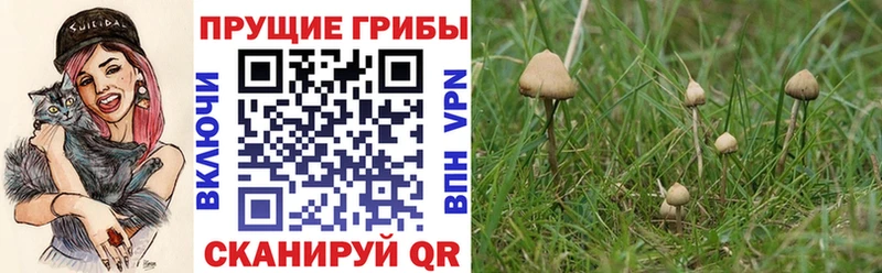 Галлюциногенные грибы мицелий  Купить  Томари 